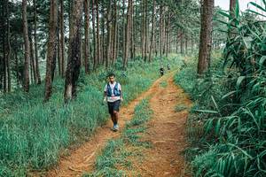 BIB: 
                            <button type="button" onclick="openModal(25656397)" class="btn btn-primary btn-sm float-right btn-popup" data-toggle="modal" data-target=".modal-high-quality">
                        <i class="fas fa-shopping-cart"></i> Add to Cart
                    </button>
                                            <button type="button" onclick="isThisMe(25656397, true)" class="btn btn-success btn-sm float-right btn-popup btn-isme hidden" data-toggle="tooltip" data-placement="bottom" title="นี่คือรูปของคุณใช่ไหม คลิกที่นี่เพื่อเอาเข้าอัลบั้ม">
                        <i class="fas fa-plus"></i> Add to album
                    </button>
                    <button type="button" onclick="isThisMe(25656397, false)" class="btn btn-warning btn-sm float-right btn-popup btn-isnotme hidden">
                        <i class="fas fa-ban"></i> Remove from album
                    </button>